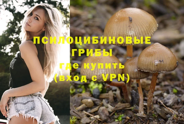 ешки Богородицк