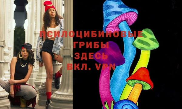ешки Богородицк