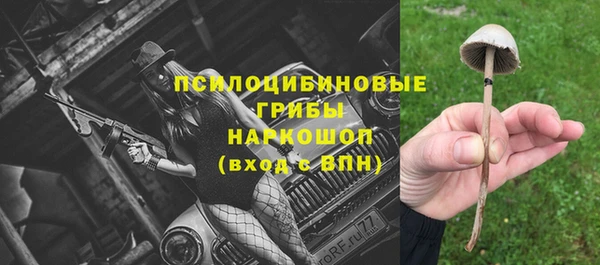 ешки Богородицк