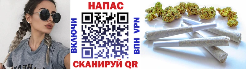 Бошки Шишки конопля Богородицк